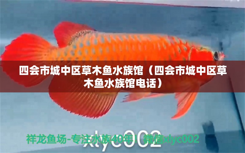 四會市城中區(qū)草木魚水族館（四會市城中區(qū)草木魚水族館電話） 全國水族館企業(yè)名錄