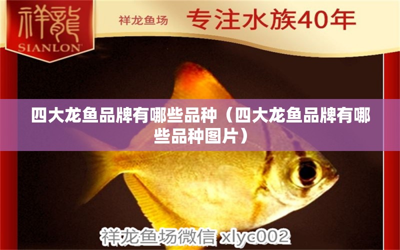 四大龍魚(yú)品牌有哪些品種（四大龍魚(yú)品牌有哪些品種圖片） 廣州龍魚(yú)批發(fā)市場(chǎng)