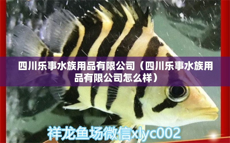 四川樂事水族用品有限公司（四川樂事水族用品有限公司怎么樣）