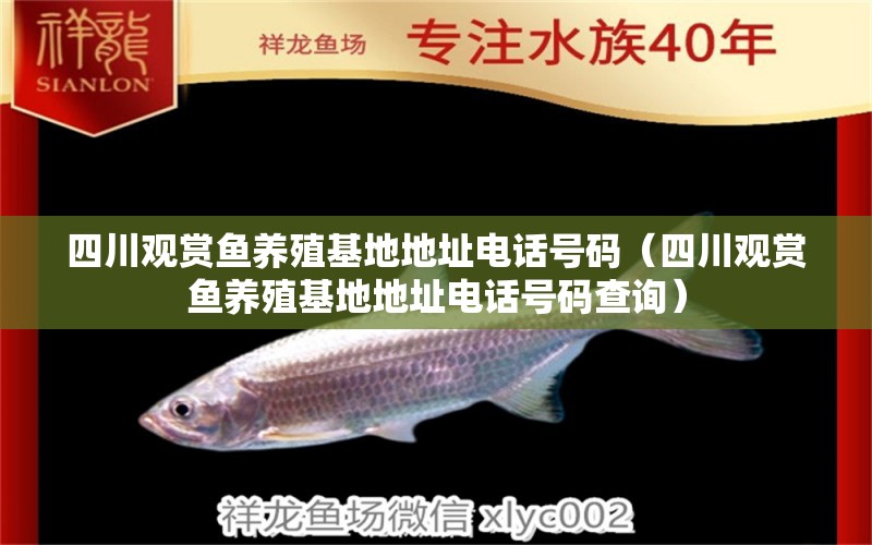 四川觀賞魚養(yǎng)殖基地地址電話號碼（四川觀賞魚養(yǎng)殖基地地址電話號碼查詢） 祥龍魚場