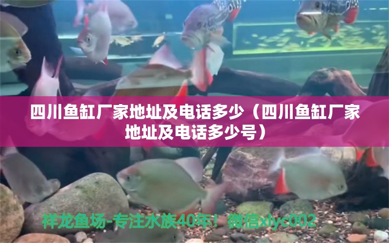 四川魚缸廠家地址及電話多少（四川魚缸廠家地址及電話多少號）