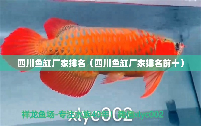 四川魚缸廠家排名（四川魚缸廠家排名前十）