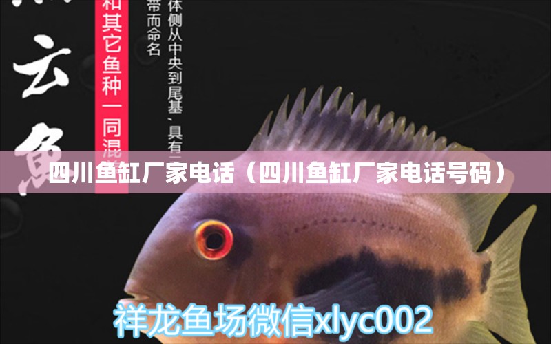 四川魚缸廠家電話（四川魚缸廠家電話號(hào)碼） 其他品牌魚缸