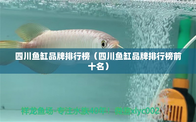 四川魚缸品牌排行榜（四川魚缸品牌排行榜前十名） 祥龍水族醫(yī)院