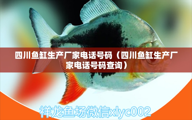 四川魚缸生產(chǎn)廠家電話號碼（四川魚缸生產(chǎn)廠家電話號碼查詢）