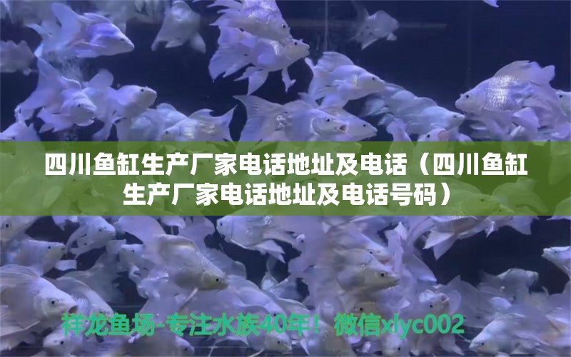 四川魚缸生產(chǎn)廠家電話地址及電話（四川魚缸生產(chǎn)廠家電話地址及電話號碼） 祥龍水族醫(yī)院