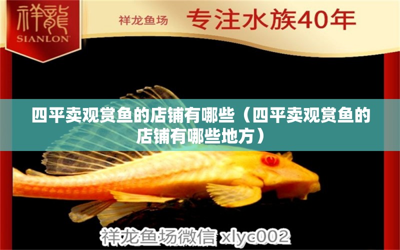 四平賣觀賞魚的店鋪有哪些（四平賣觀賞魚的店鋪有哪些地方）