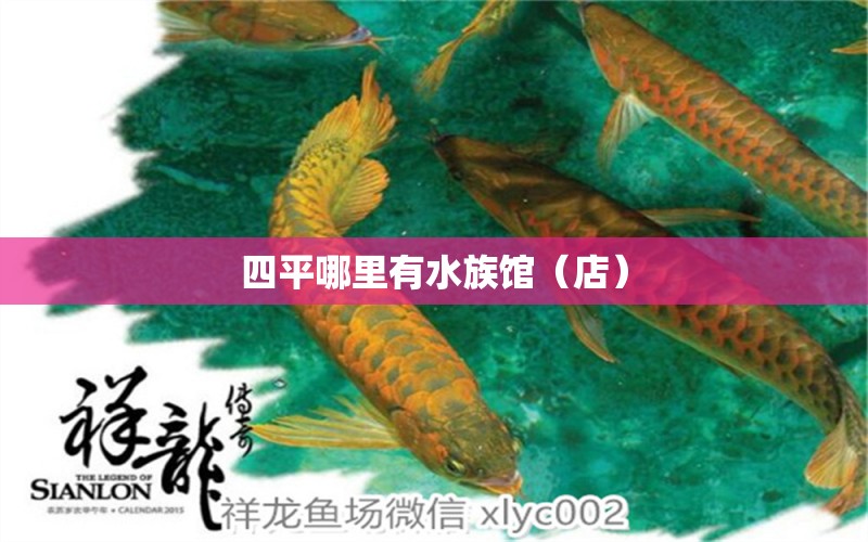 四平哪里有水族館（店） 觀賞魚水族批發(fā)市場