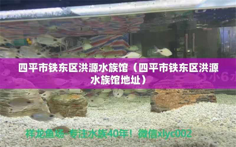 四平市鐵東區(qū)洪源水族館（四平市鐵東區(qū)洪源水族館地址）