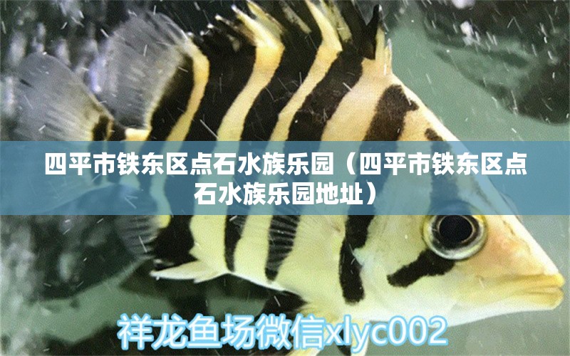 四平市鐵東區(qū)點石水族樂園（四平市鐵東區(qū)點石水族樂園地址） 全國水族館企業(yè)名錄