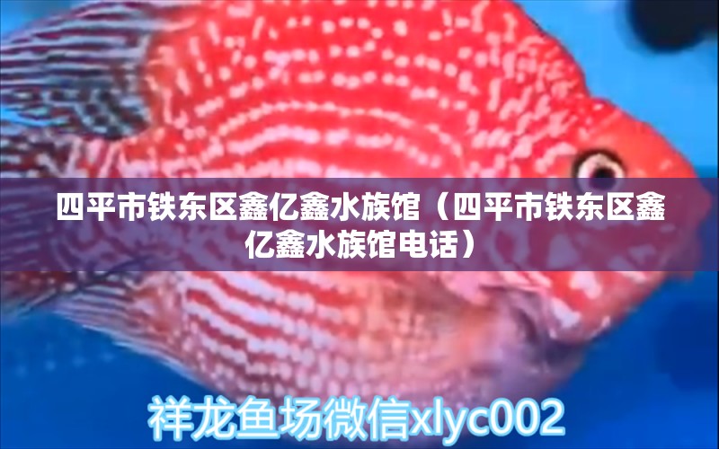 四平市鐵東區(qū)鑫億鑫水族館（四平市鐵東區(qū)鑫億鑫水族館電話）