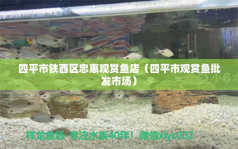 四平市鐵西區(qū)忠惠觀賞魚店（四平市觀賞魚批發(fā)市場）