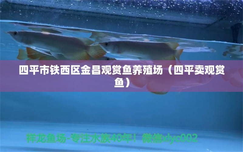 四平市鐵西區(qū)金昌觀賞魚養(yǎng)殖場（四平賣觀賞魚） 全國水族館企業(yè)名錄