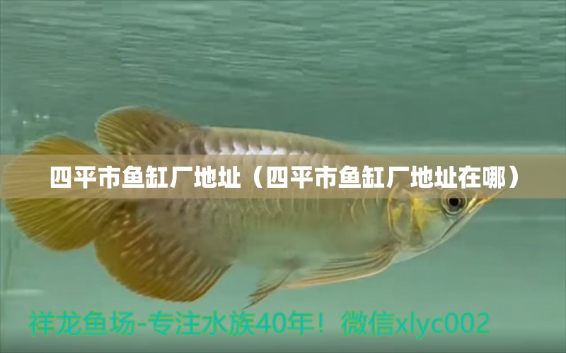 四平市魚缸廠地址（四平市魚缸廠地址在哪）