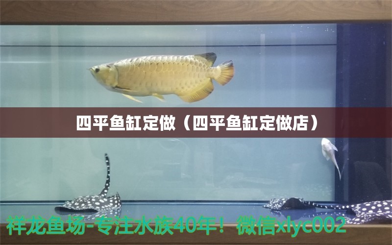 四平魚缸定做（四平魚缸定做店） 祥龍水族醫(yī)院