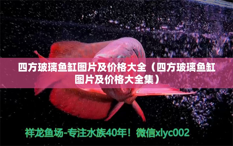 四方玻璃魚缸圖片及價(jià)格大全（四方玻璃魚缸圖片及價(jià)格大全集）