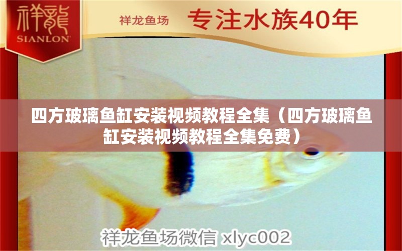 四方玻璃魚缸安裝視頻教程全集（四方玻璃魚缸安裝視頻教程全集免費(fèi)）