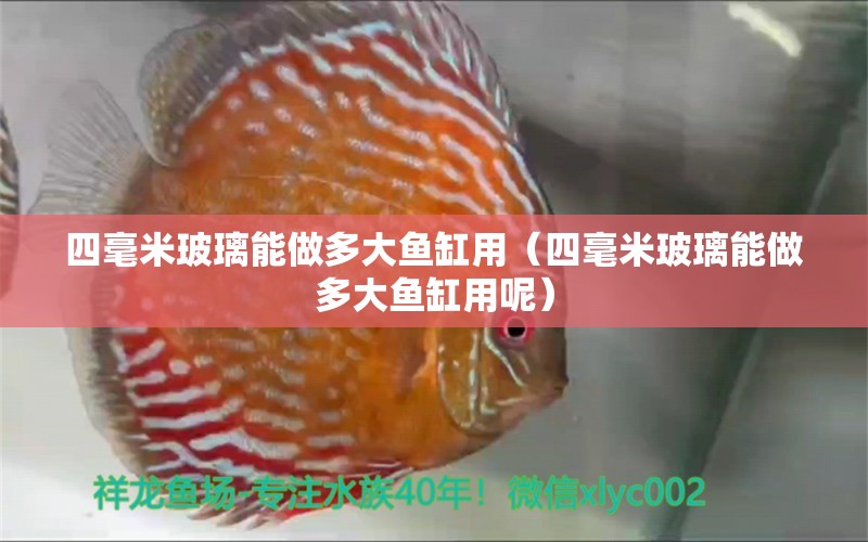 四毫米玻璃能做多大魚缸用（四毫米玻璃能做多大魚缸用呢）