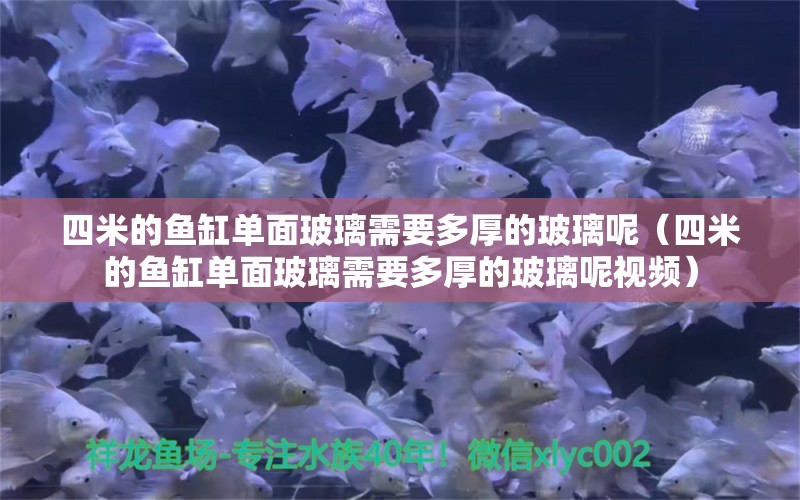 四米的魚缸單面玻璃需要多厚的玻璃呢（四米的魚缸單面玻璃需要多厚的玻璃呢視頻）