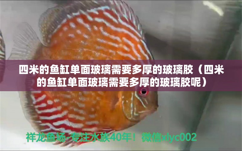 四米的魚缸單面玻璃需要多厚的玻璃膠（四米的魚缸單面玻璃需要多厚的玻璃膠呢）