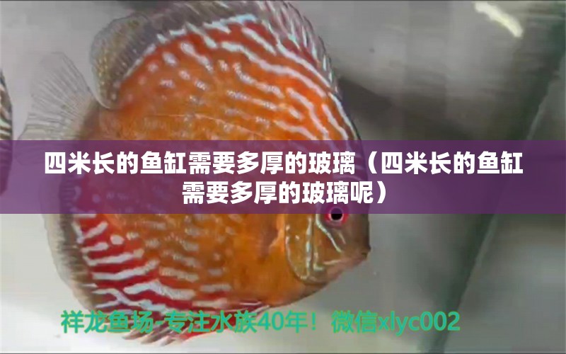 四米長(zhǎng)的魚缸需要多厚的玻璃（四米長(zhǎng)的魚缸需要多厚的玻璃呢）