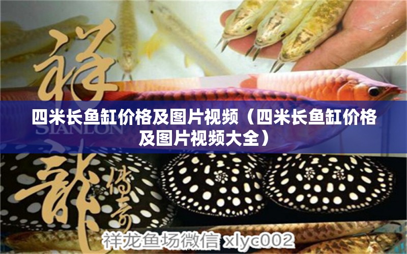 四米長(zhǎng)魚缸價(jià)格及圖片視頻（四米長(zhǎng)魚缸價(jià)格及圖片視頻大全）