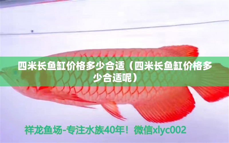 四米長(zhǎng)魚缸價(jià)格多少合適（四米長(zhǎng)魚缸價(jià)格多少合適呢）