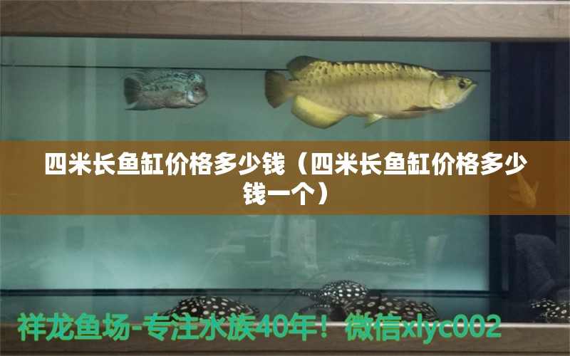 四米長魚缸價(jià)格多少錢（四米長魚缸價(jià)格多少錢一個(gè)）