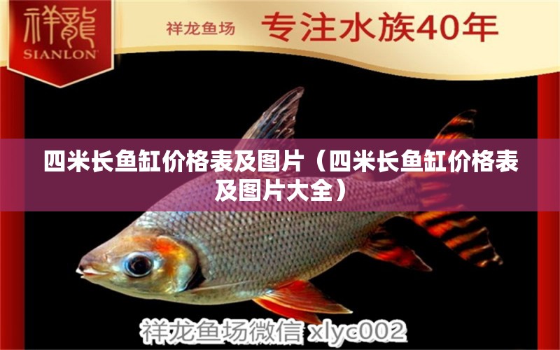 四米長(zhǎng)魚缸價(jià)格表及圖片（四米長(zhǎng)魚缸價(jià)格表及圖片大全）