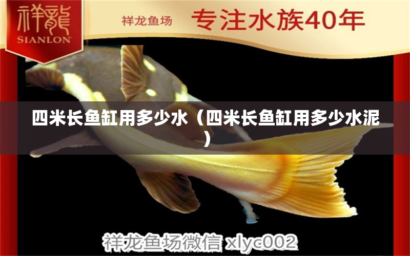 四米長魚缸用多少水（四米長魚缸用多少水泥） 魚缸百科