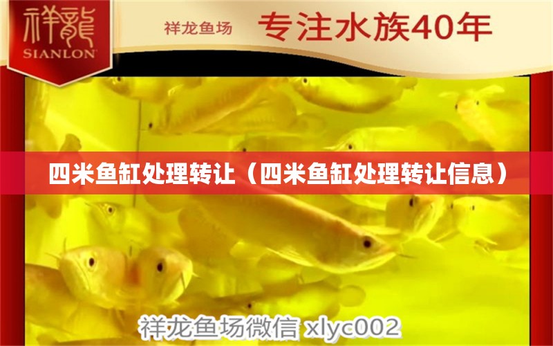 四米魚缸處理轉(zhuǎn)讓（四米魚缸處理轉(zhuǎn)讓信息）