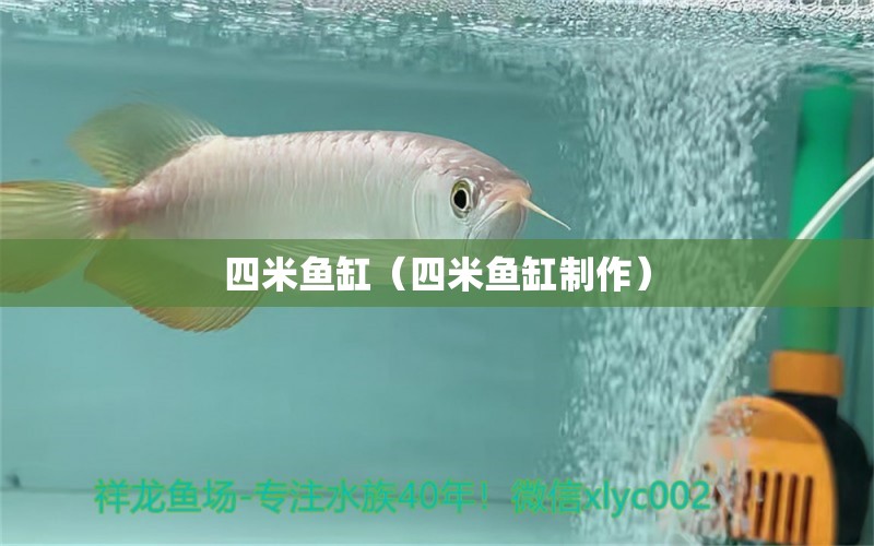 四米魚缸（四米魚缸制作）