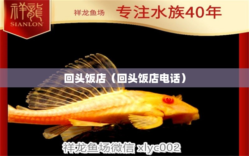 回頭飯店（回頭飯店電話） 全國(guó)水族館企業(yè)名錄