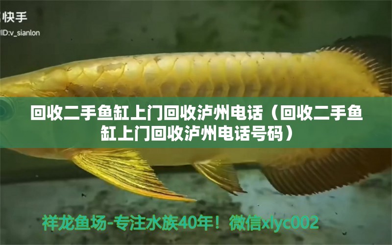 回收二手魚(yú)缸上門(mén)回收瀘州電話（回收二手魚(yú)缸上門(mén)回收瀘州電話號(hào)碼）