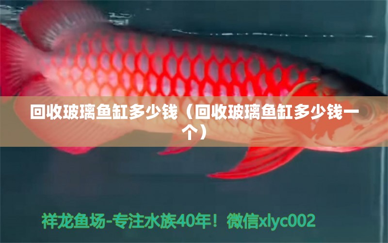 回收玻璃魚缸多少錢（回收玻璃魚缸多少錢一個(gè)）