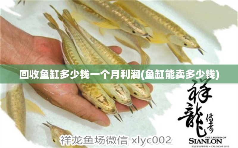 回收魚缸多少錢一個月利潤(魚缸能賣多少錢) 稀有金龍魚