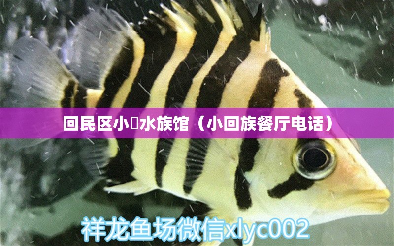 回民區(qū)小犇水族館（小回族餐廳電話）