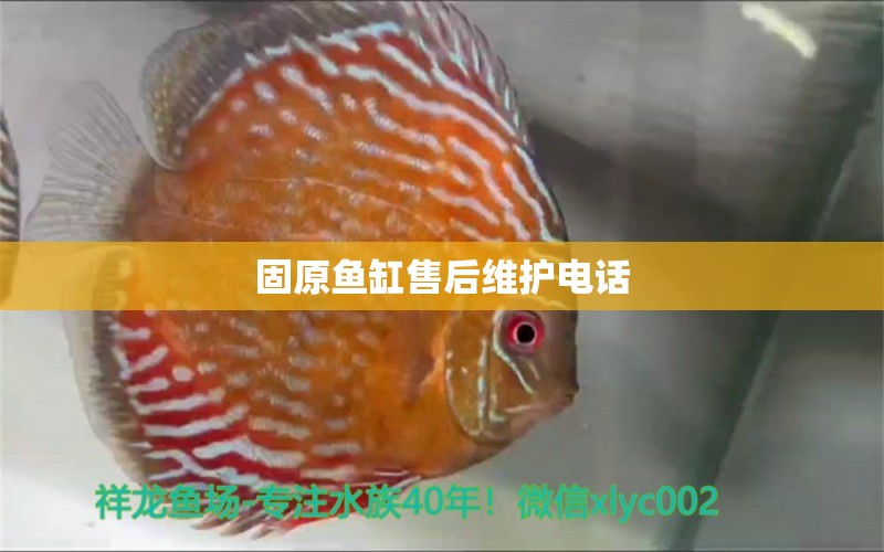 固原魚缸售后維護(hù)電話 其他品牌魚缸