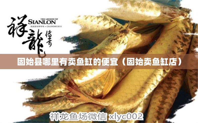 固始縣哪里有賣魚缸的便宜（固始賣魚缸店）