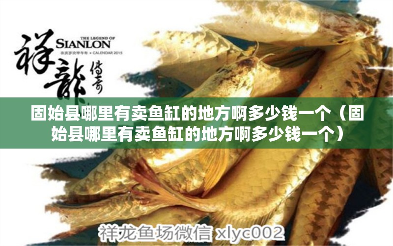 固始縣哪里有賣魚缸的地方啊多少錢一個(gè)（固始縣哪里有賣魚缸的地方啊多少錢一個(gè)） 除藻劑