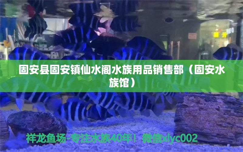 固安縣固安鎮(zhèn)仙水閣水族用品銷售部（固安水族館）