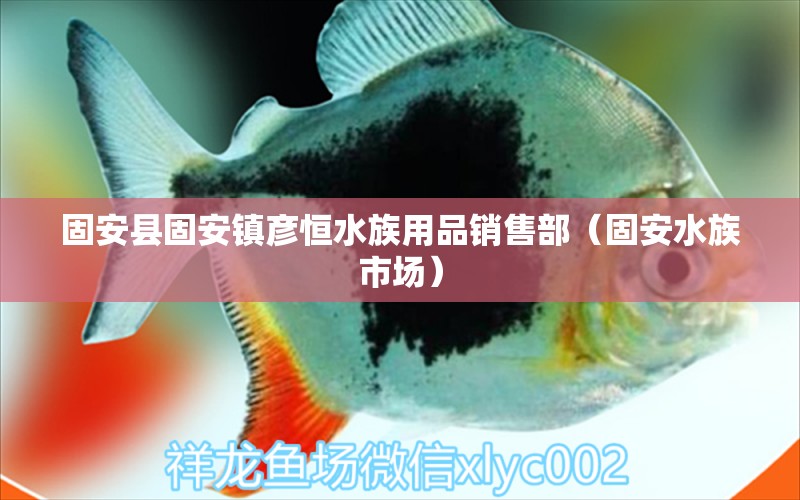 固安縣固安鎮(zhèn)彥恒水族用品銷售部（固安水族市場(chǎng)）