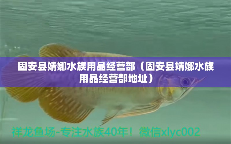 固安縣婧娜水族用品經(jīng)營(yíng)部（固安縣婧娜水族用品經(jīng)營(yíng)部地址）