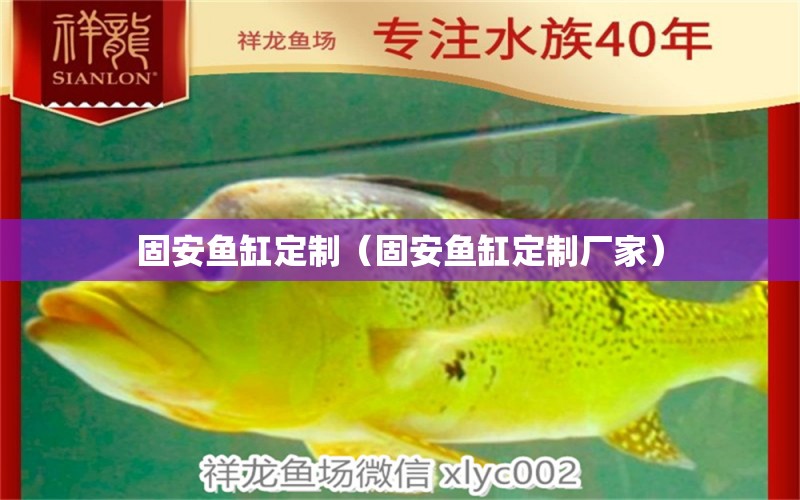 固安魚缸定制（固安魚缸定制廠家） 魚缸/水族箱