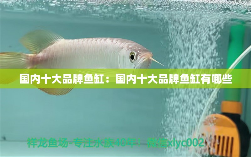 國內十大品牌魚缸：國內十大品牌魚缸有哪些