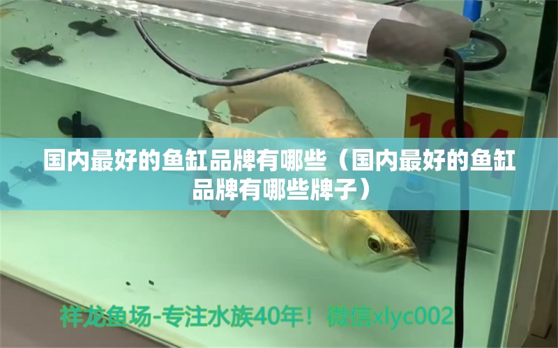 國內(nèi)最好的魚缸品牌有哪些（國內(nèi)最好的魚缸品牌有哪些牌子）