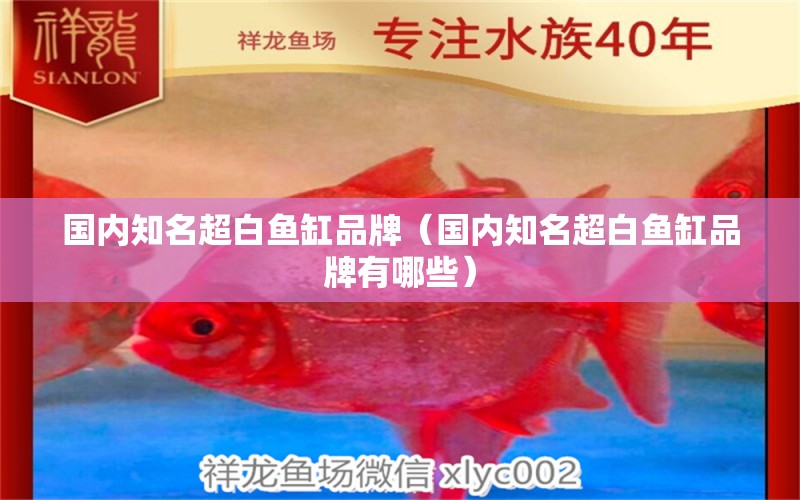 國內(nèi)知名超白魚缸品牌（國內(nèi)知名超白魚缸品牌有哪些） iwish愛唯希品牌魚缸