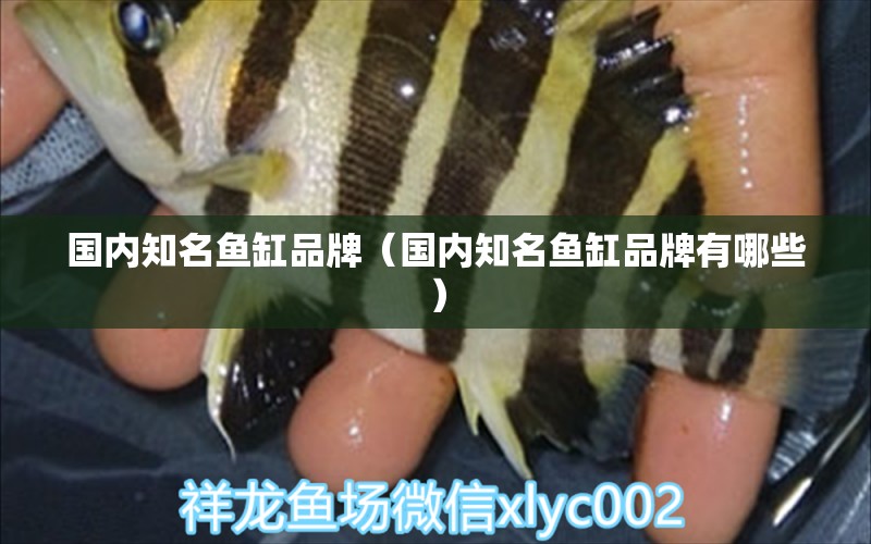 國內(nèi)知名魚缸品牌（國內(nèi)知名魚缸品牌有哪些）