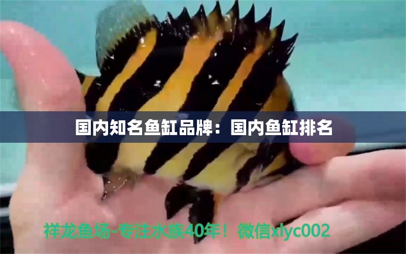 國內(nèi)知名魚缸品牌：國內(nèi)魚缸排名 水族維護服務（上門）