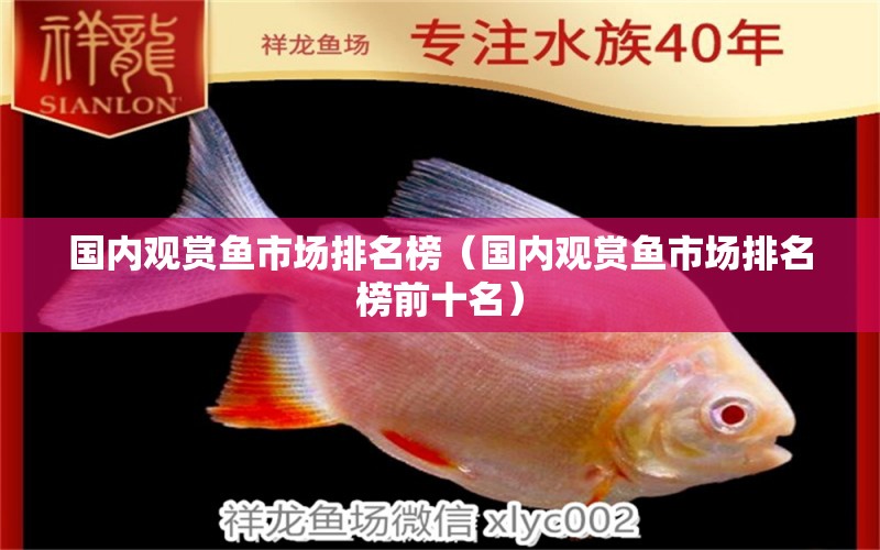 國內(nèi)觀賞魚市場排名榜（國內(nèi)觀賞魚市場排名榜前十名）